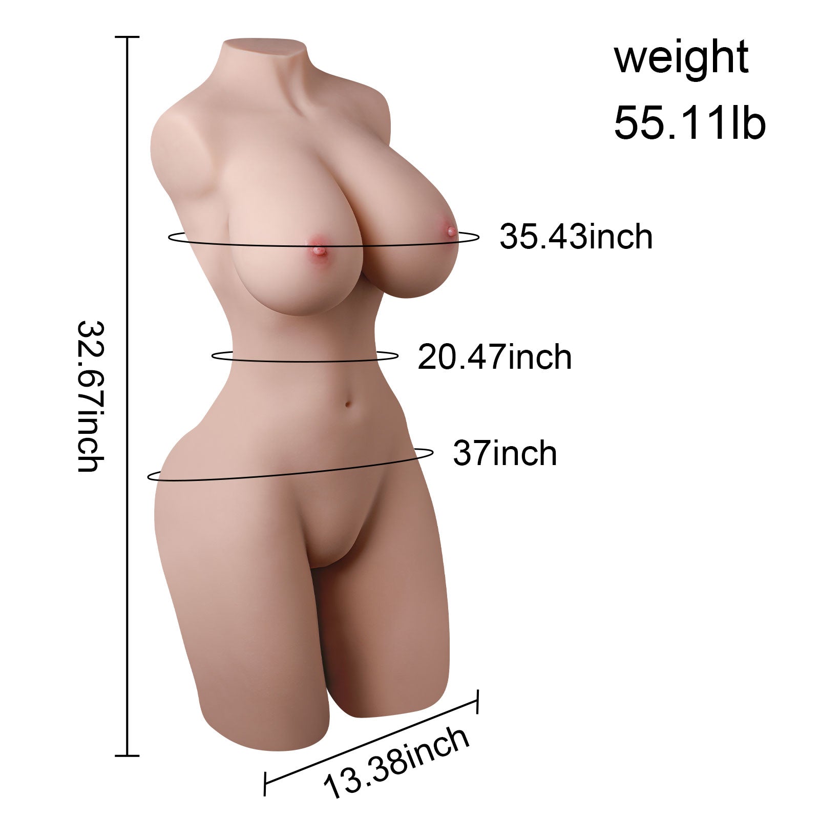Torso femenino de 55.1 lb