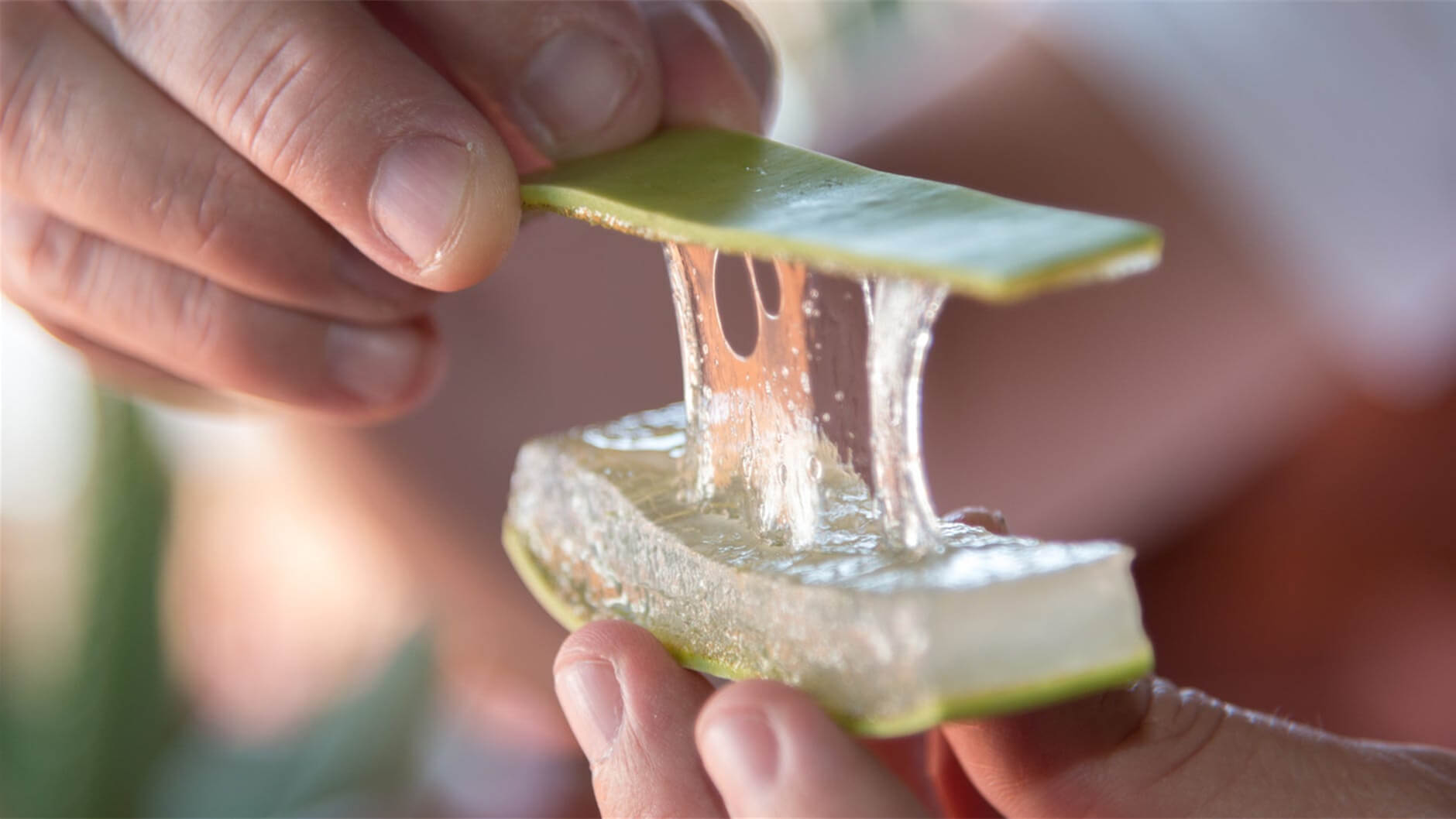 Coconut Oil and Sex Toys